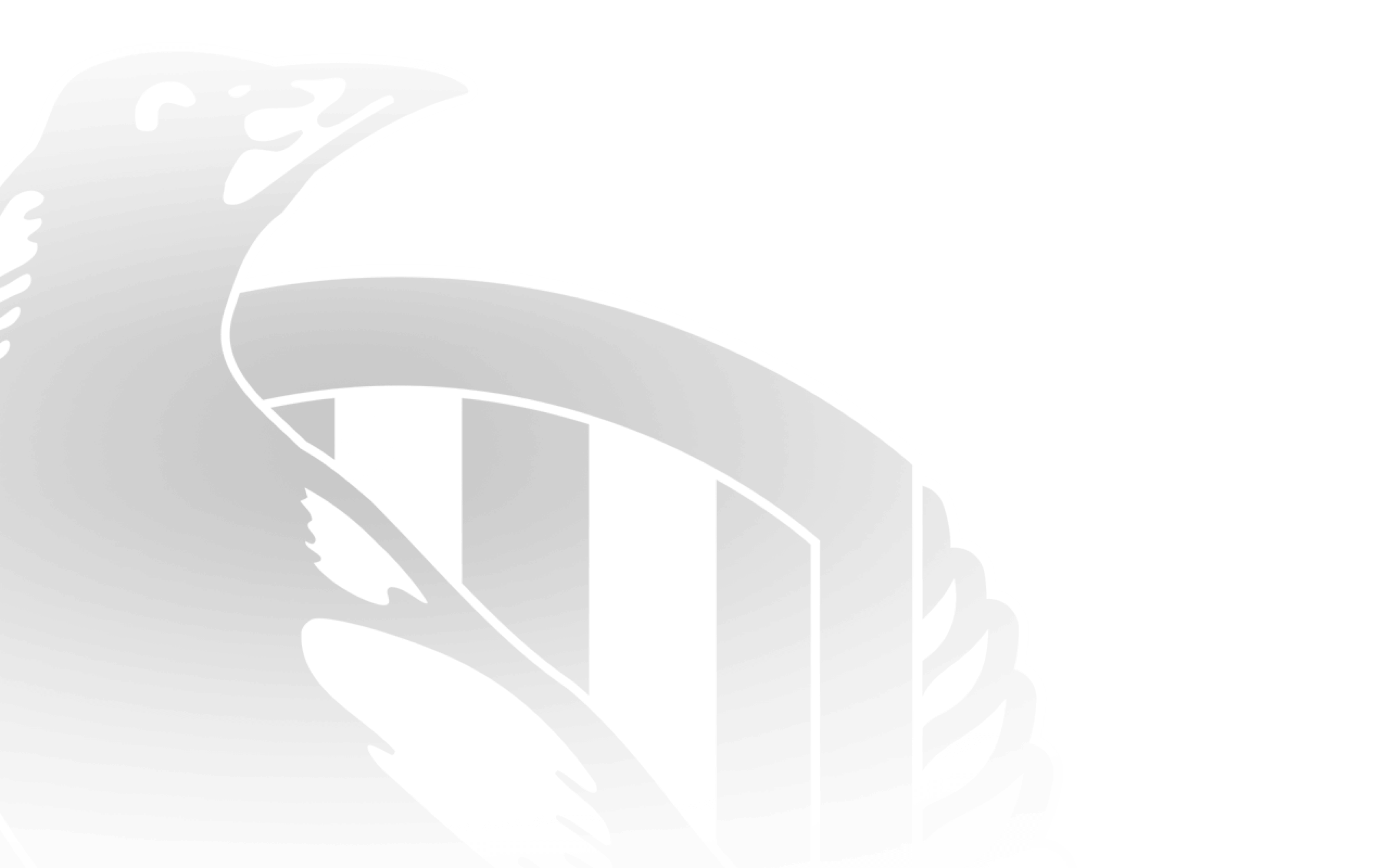 collingwood cfc watermark image